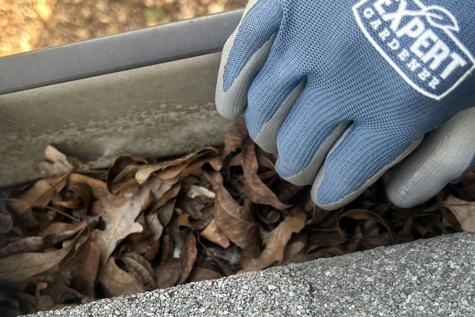 Gutter Cleaning Odenville